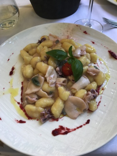 Gnocchi with squid and beet sauce