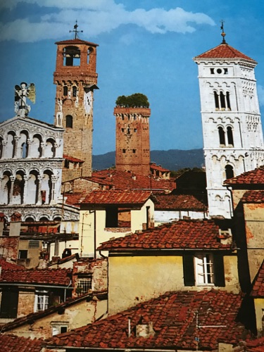 Some towers in Lucca
